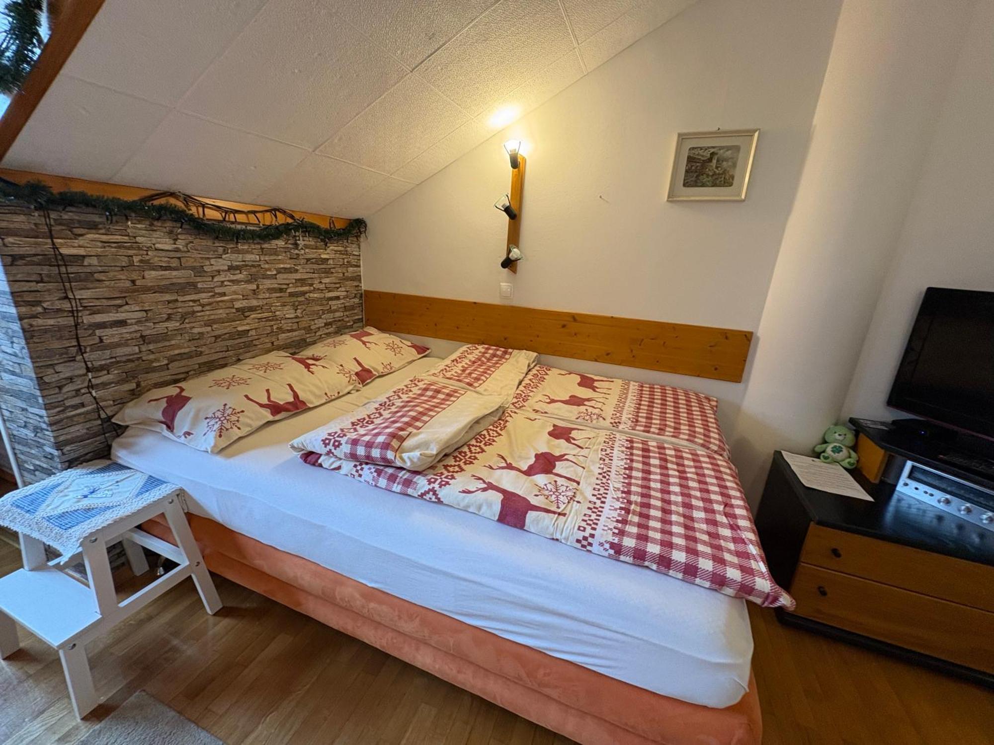 Apartma Snezko Kranjska Gora Ngoại thất bức ảnh